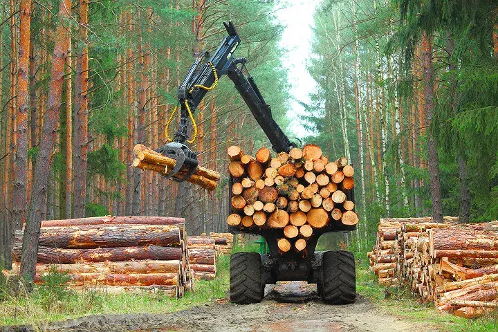 Agriculture & Forestry